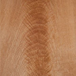 白橡树杈 White Oak Crotch